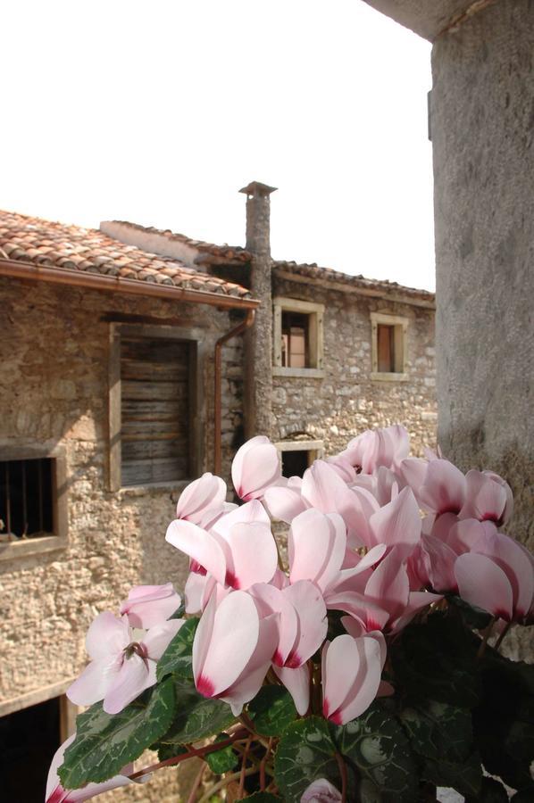 Albergo Diffuso Valcellina E Val Vajont In Erto Εξωτερικό φωτογραφία